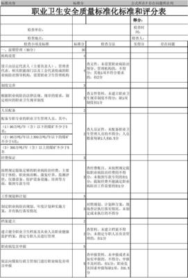 煤矿职业卫生安全质量标准化评分表